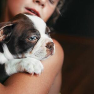 MY PUPPY CRIES AT NIGHT: ADVICE TO FINALLY FIND CALM