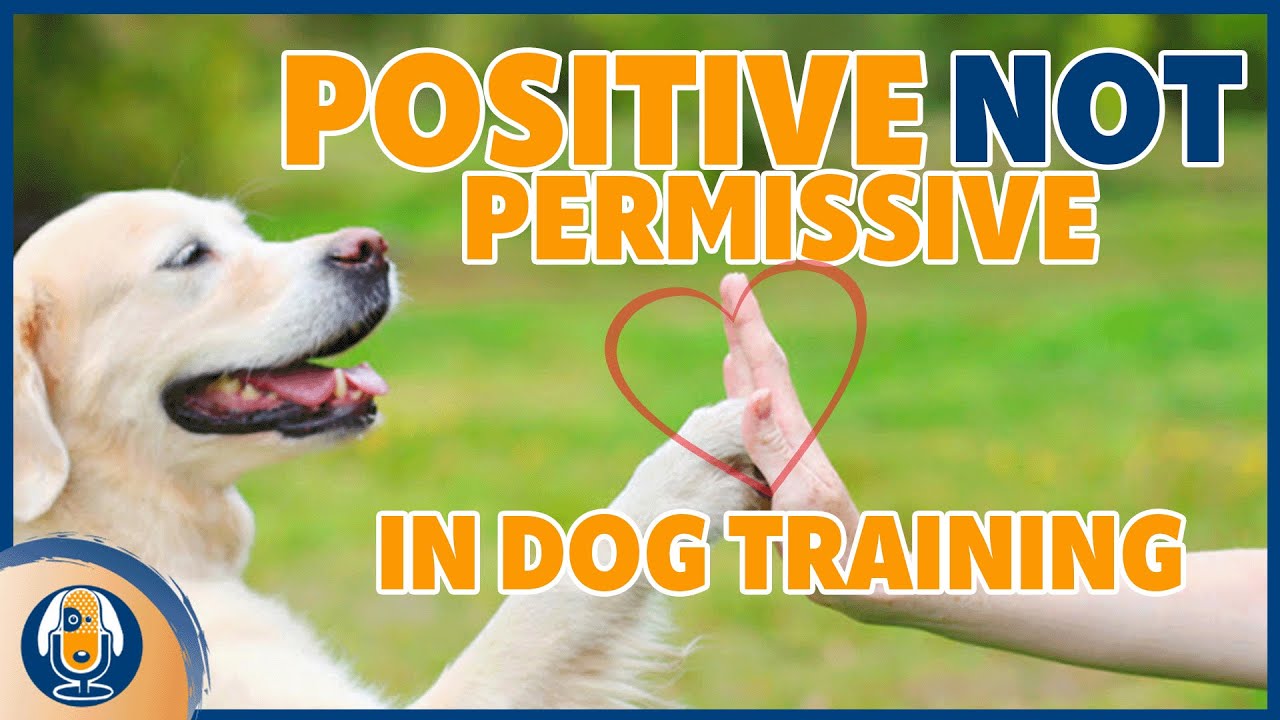 What Does "Positive Is Not Permissive" Really Mean In Dog Training? #198 #podcast